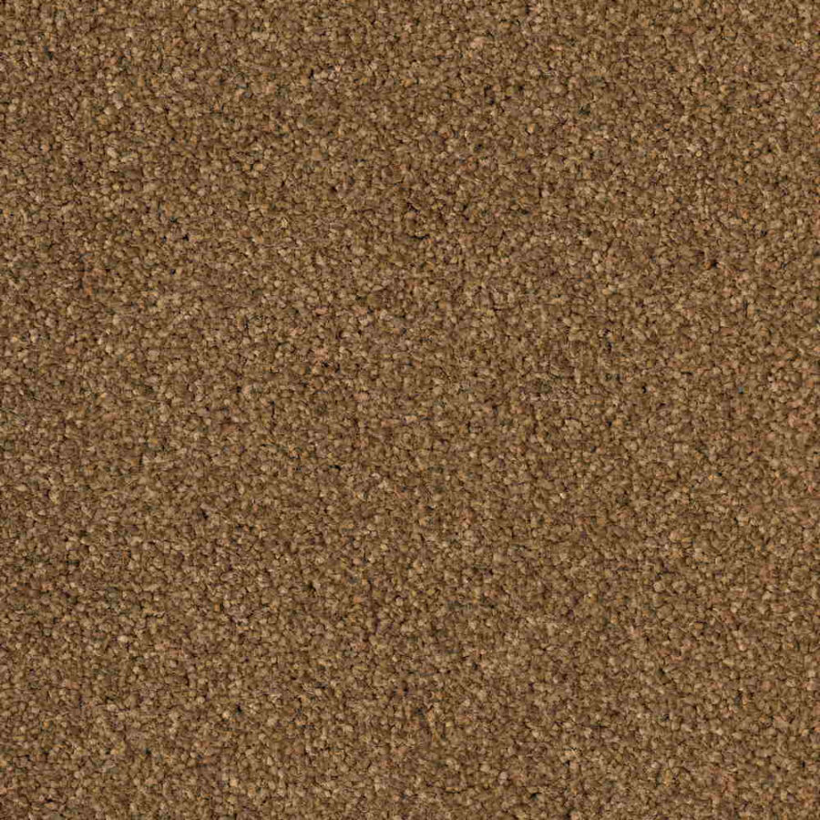 CFS Optimum Tonals – Cappuccino