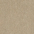 CFS Optimum Tonals – Fawn