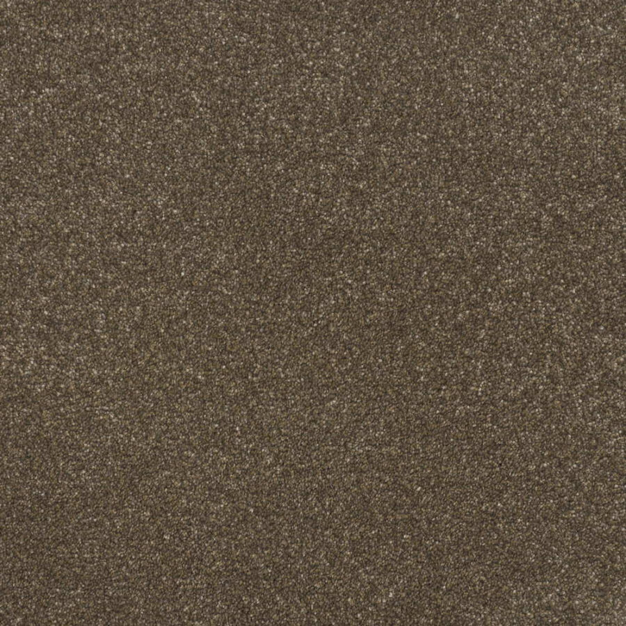 Vanguard Pinnacle Twist – Bear Cub