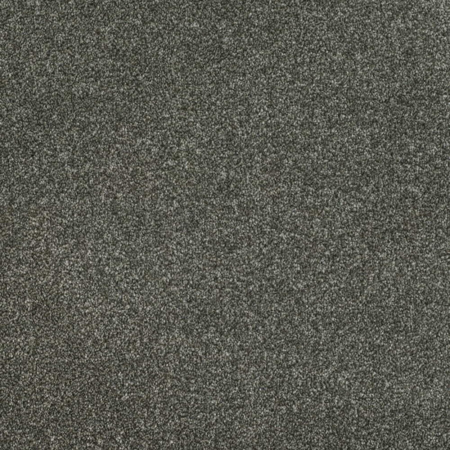 Vanguard Pinnacle Twist – Phoenix Fossil