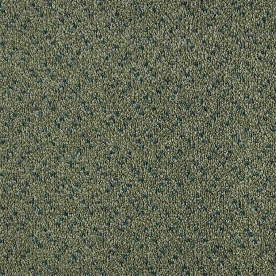 CFS Scala Solutions Classic – Barley