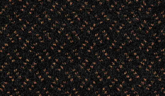 CFS Scala Solutions Classic - Charcoal