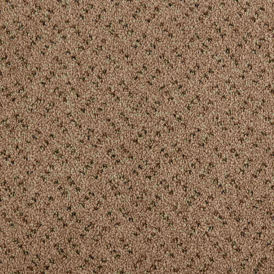 CFS Scala Solutions Classic – Flax