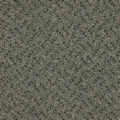 CFS Scala Solutions Classic – Silver
