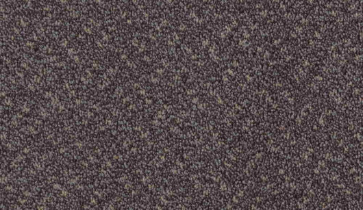 CFS Scala Solutions Classic - Slate