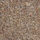 Vanguard Solstice - Rustic