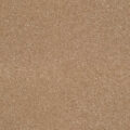 Lano Star Twist Elite – Almond