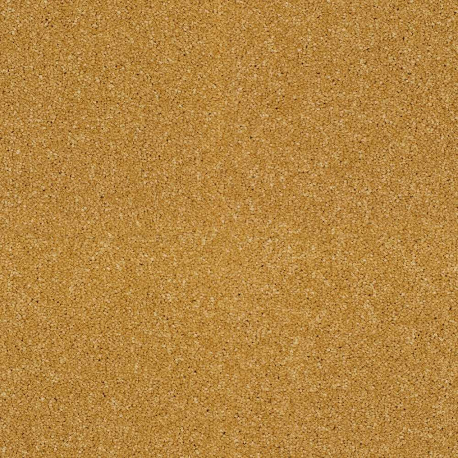 Lano Star Twist Elite – Torchlight