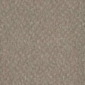 CFS Superior Care – Moroccan Spice
