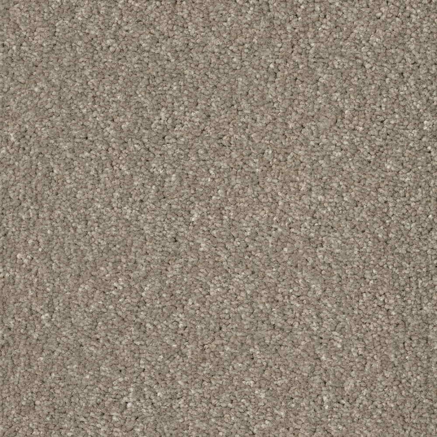 CFS Superior Care – Moroccan Spice