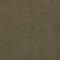 CFS Varsity Collection – Bark