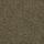 CFS Varsity Collection - Bark