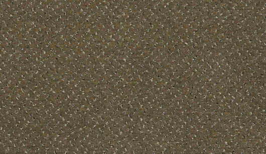 CFS Varsity Collection - Bark