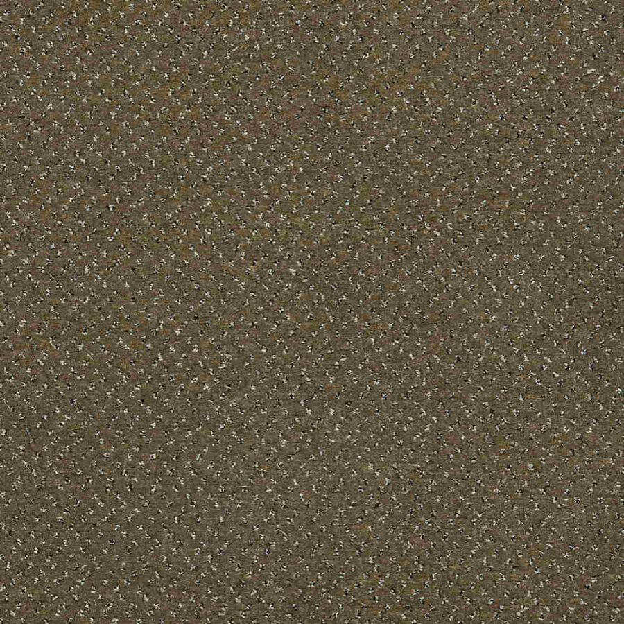 CFS Varsity Collection – Bark