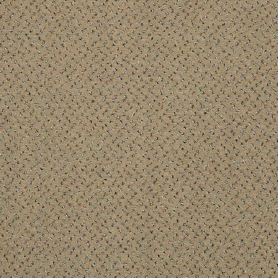 CFS Varsity Collection – Cork