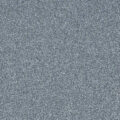 CFS Varsity Collection – Dolphin