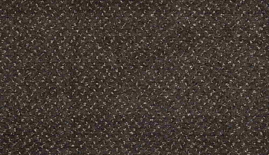 CFS Varsity Collection - Espresso