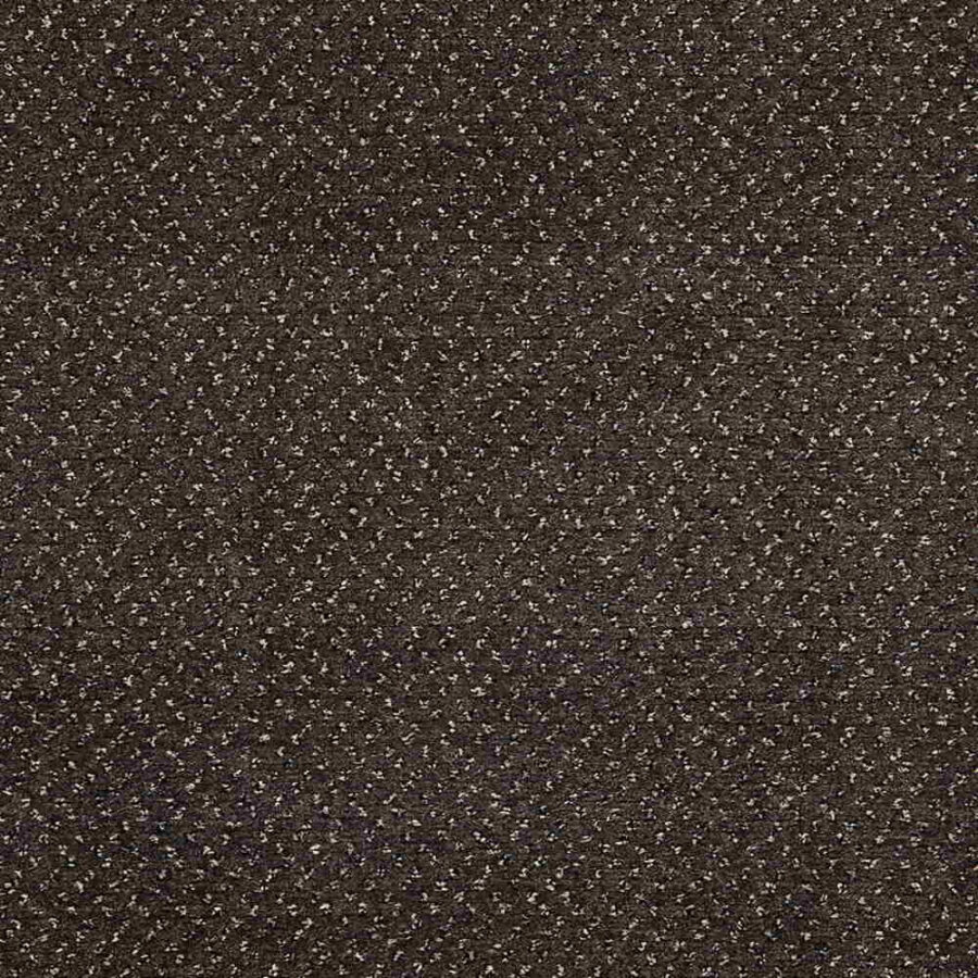 CFS Varsity Collection – Espresso