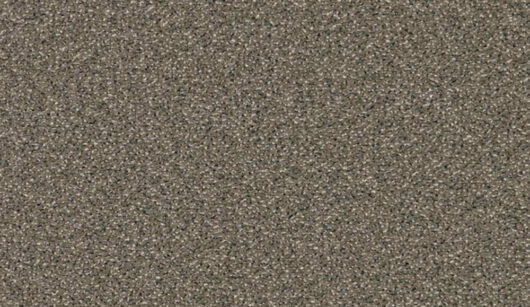 CFS Varsity Collection - Pebble