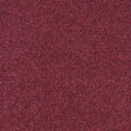 CFS Varsity Collection – Ruby