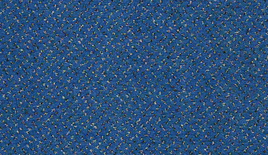CFS Varsity Collection - Sky