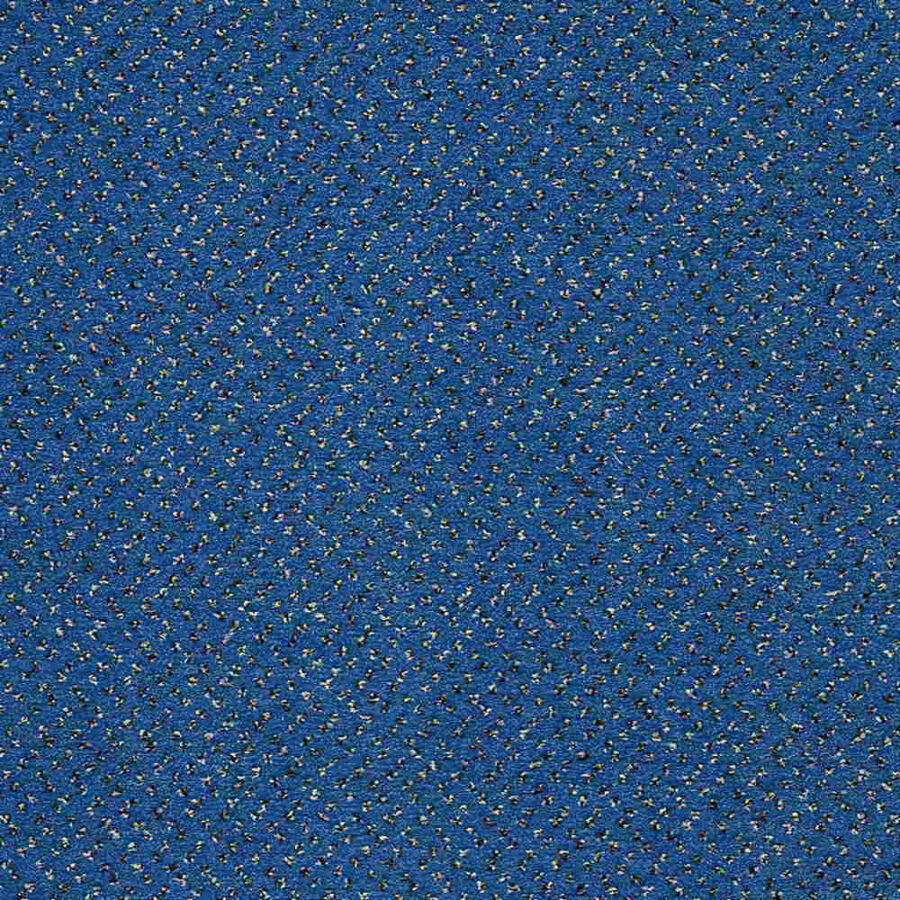 CFS Varsity Collection – Sky