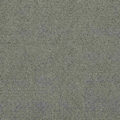 CFS Varsity Collection – Smoke