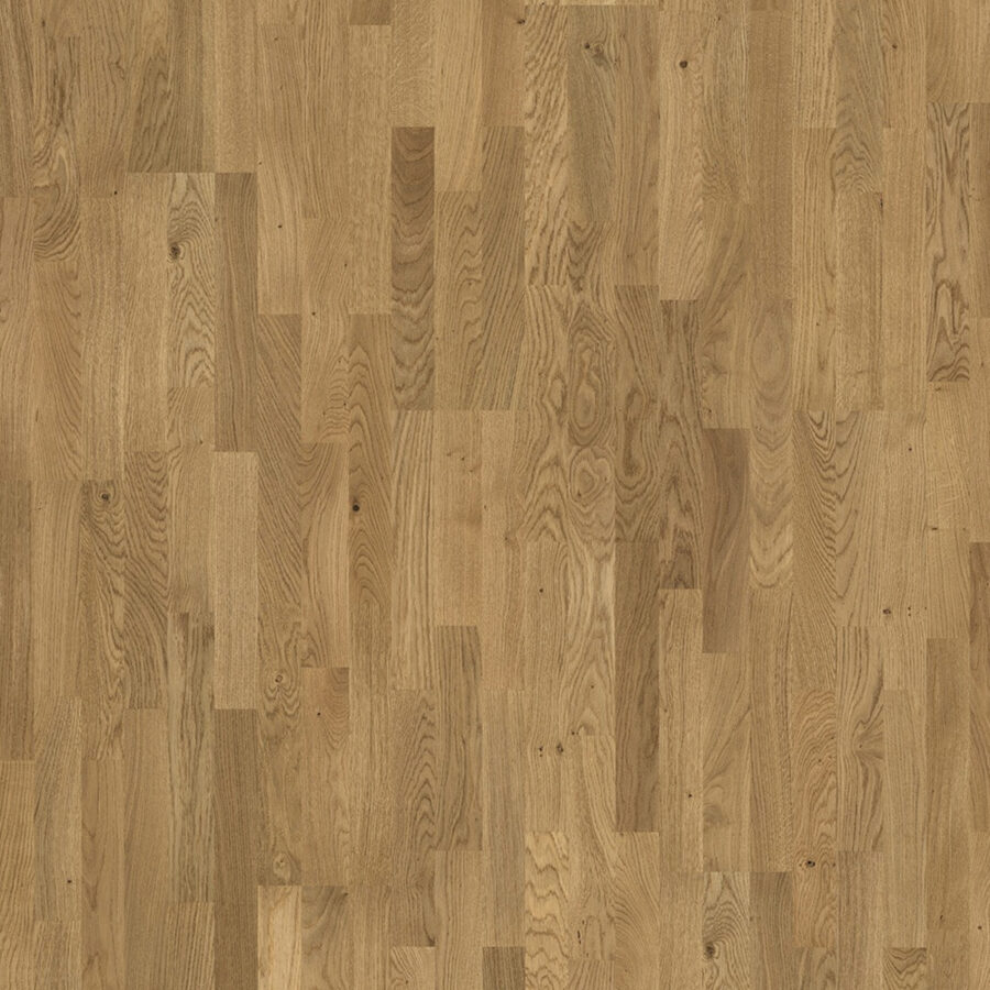 Parador Basic 11-5 – Knotty Oak 3-Strip
