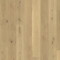 Parador Basic 11-5 – Rustikal Oak Wide Plank White Matt Lacqueredgallery-thumbnail-main