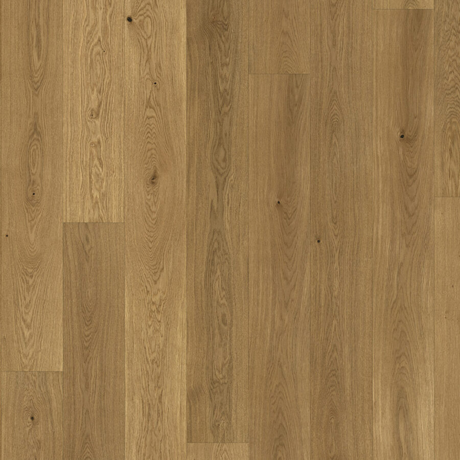 Parador Basic 11-5 – Classic Oak Wide Plank