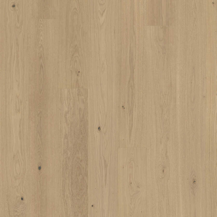 Parador Classic 3060 – Oak Sanded Extra Matt