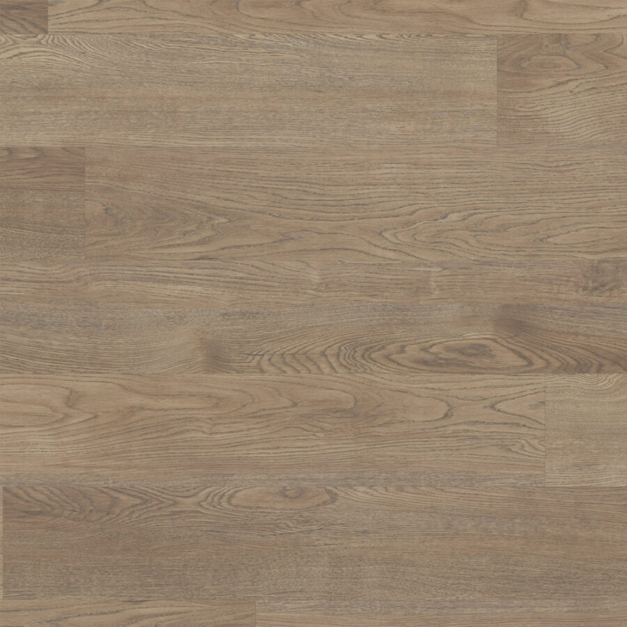 Palio Gluedown – Budelli PVP146