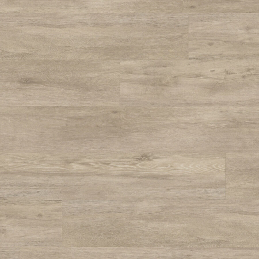 Palio Gluedown – Lampione PVP147