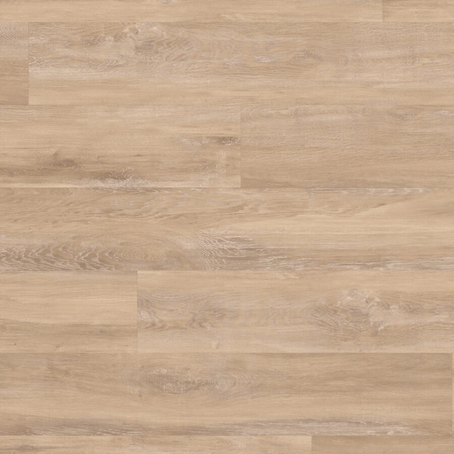 Palio Gluedown – Hamben PVP156