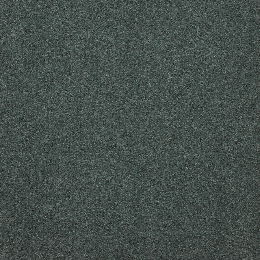The Floor Hub Dahlia Cut – Moonmist