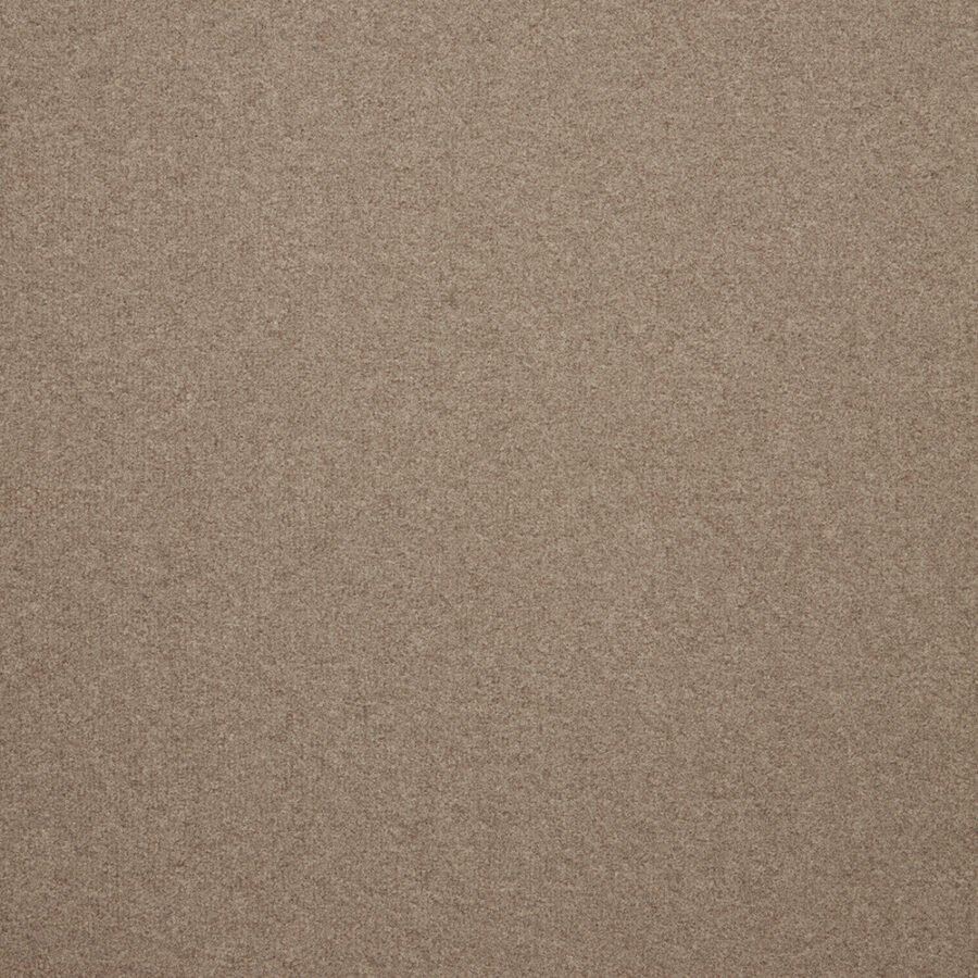 The Floor Hub Dahlia Cut – Willow