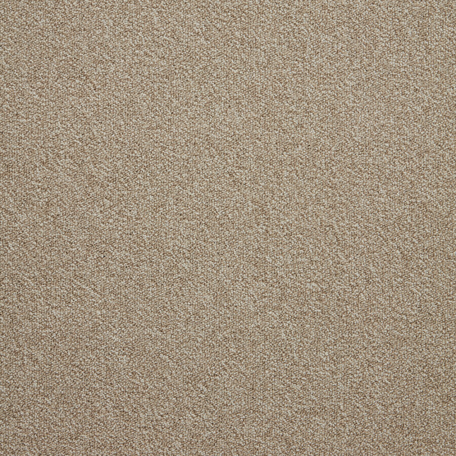 The Floor Hub Expression – Remark
