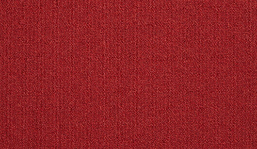 The Floor Hub Expression - Reveal