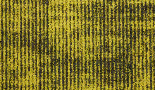 The Floor Hub Infusion - Chamomile