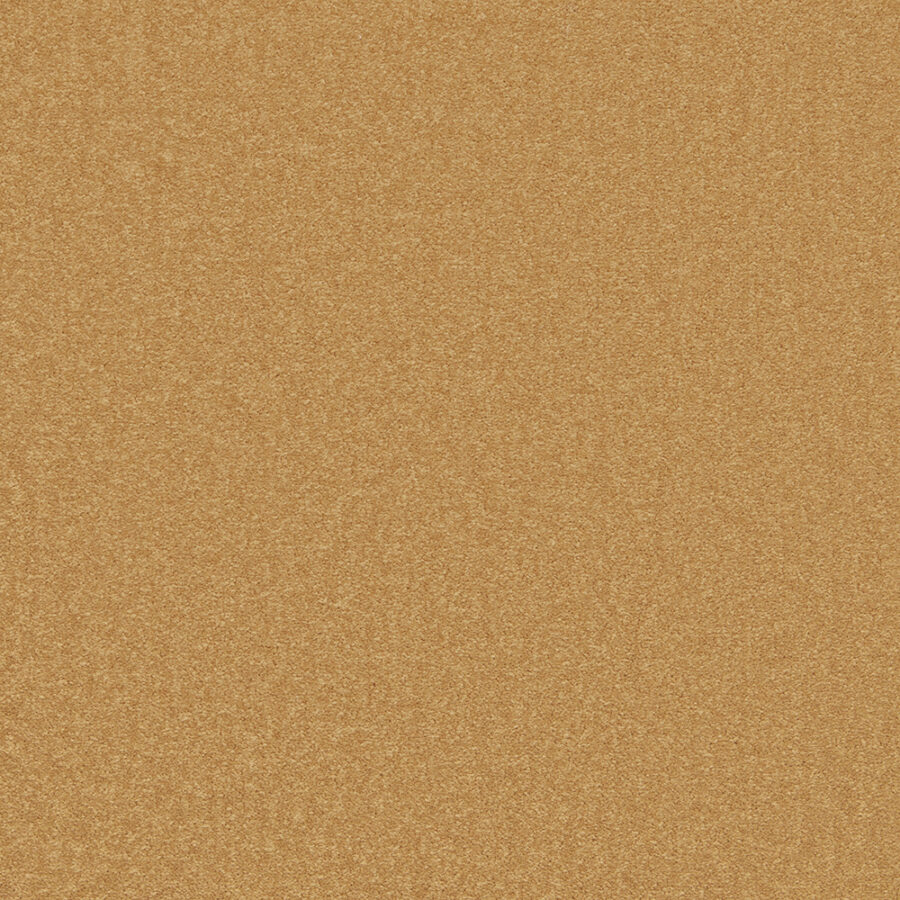 The Floor Hub Prism – Desert Sun