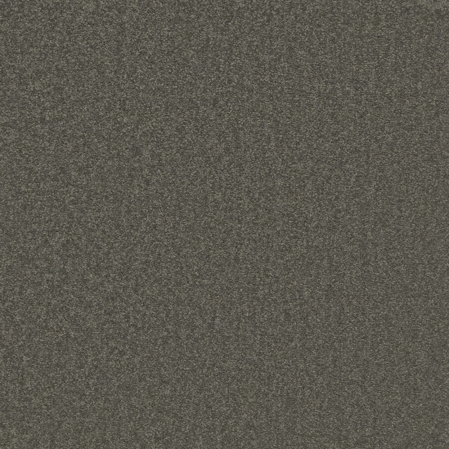 The Floor Hub Prism – Grey Marsh Wood