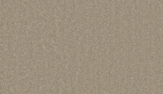 The Floor Hub Prism - Puritan Beige